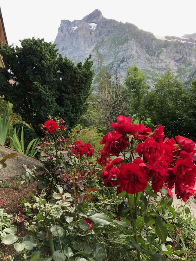 Chalet Zur Hoehe Grindelwald Exteriér fotografie